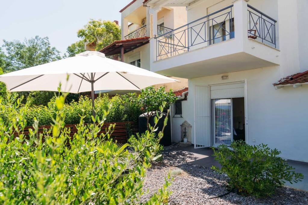 Villa Olion 아피토스 외부 사진