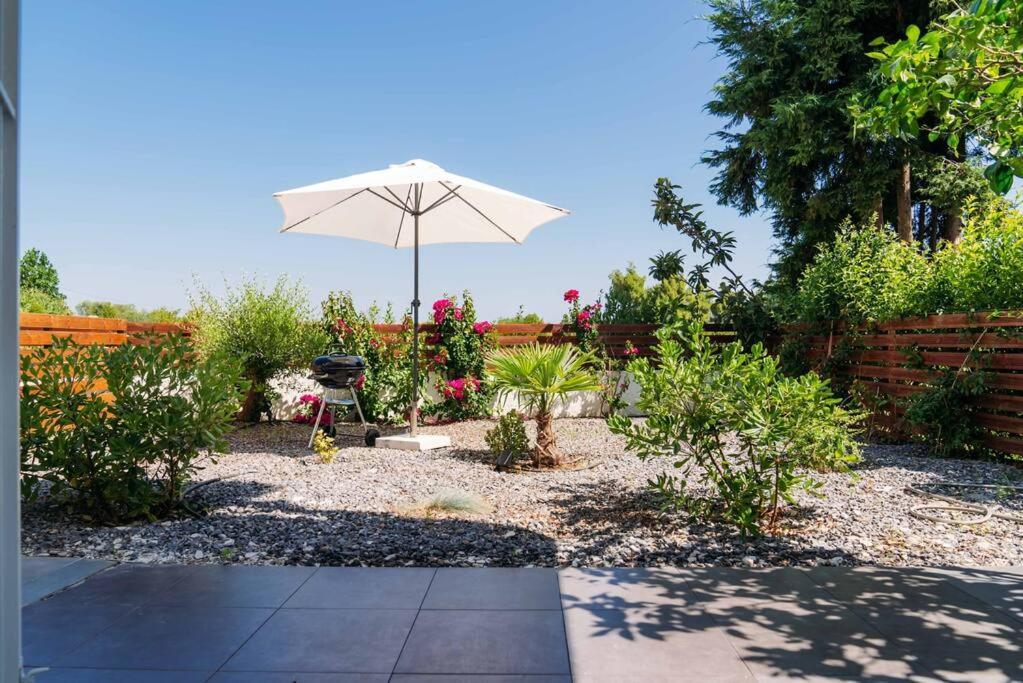 Villa Olion 아피토스 외부 사진
